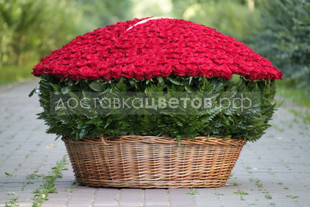 Корзина из 501 красной розы "Создана совершенной"